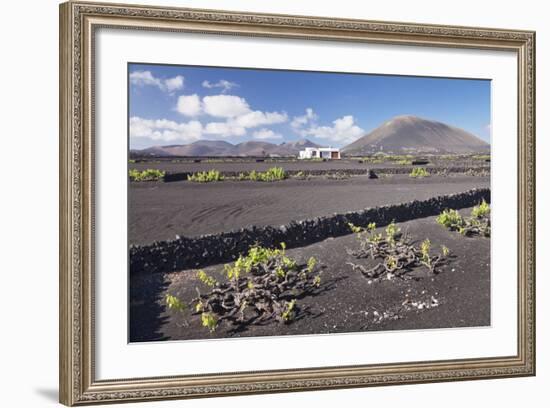 Finca, Wine Growing District La Geria, Lanzarote, Canary Islands, Spain, Atlantic, Europe-Markus Lange-Framed Photographic Print