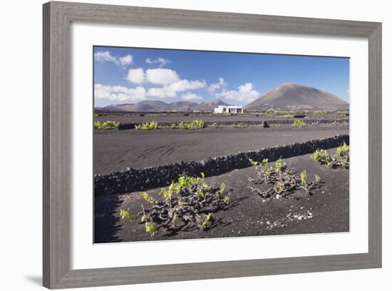 Finca, Wine Growing District La Geria, Lanzarote, Canary Islands, Spain, Atlantic, Europe-Markus Lange-Framed Photographic Print