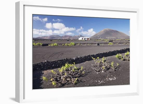 Finca, Wine Growing District La Geria, Lanzarote, Canary Islands, Spain, Atlantic, Europe-Markus Lange-Framed Photographic Print