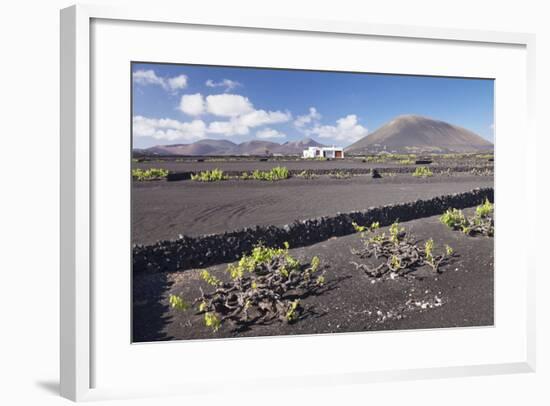 Finca, Wine Growing District La Geria, Lanzarote, Canary Islands, Spain, Atlantic, Europe-Markus Lange-Framed Photographic Print