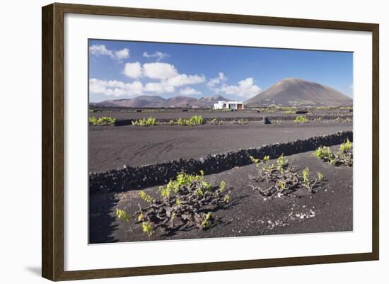 Finca, Wine Growing District La Geria, Lanzarote, Canary Islands, Spain, Atlantic, Europe-Markus Lange-Framed Photographic Print