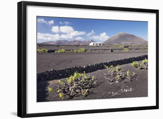 Finca, Wine Growing District La Geria, Lanzarote, Canary Islands, Spain, Atlantic, Europe-Markus Lange-Framed Photographic Print