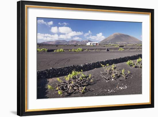 Finca, Wine Growing District La Geria, Lanzarote, Canary Islands, Spain, Atlantic, Europe-Markus Lange-Framed Photographic Print
