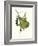 Finch-John James Audubon-Framed Art Print