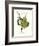 Finch-John James Audubon-Framed Art Print