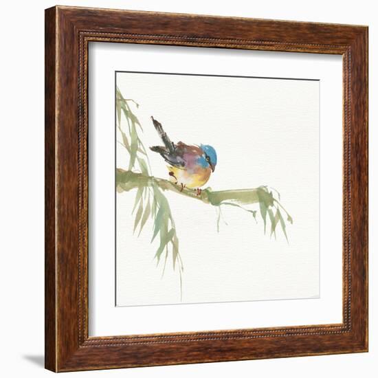 Finch-Chris Paschke-Framed Art Print