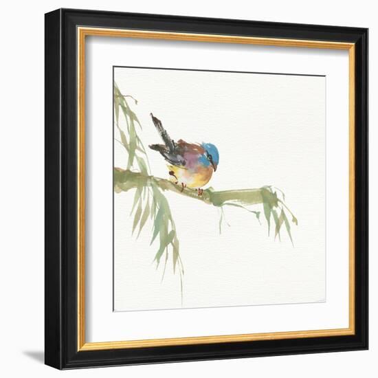 Finch-Chris Paschke-Framed Art Print