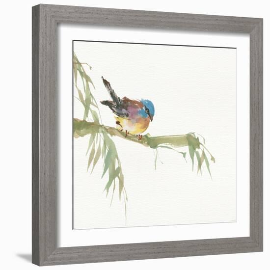 Finch-Chris Paschke-Framed Art Print