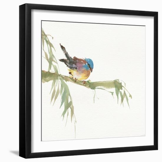 Finch-Chris Paschke-Framed Art Print