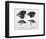 Finches from the Galapagos Islands Observed by Darwin-R.t. Pritchett-Framed Photographic Print