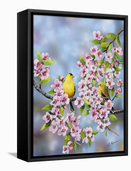 Finches in Cherry Tree-Sarah Davis-Framed Premier Image Canvas