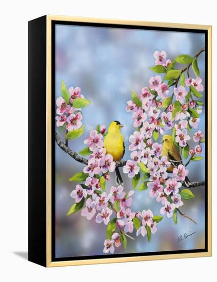 Finches in Cherry Tree-Sarah Davis-Framed Premier Image Canvas