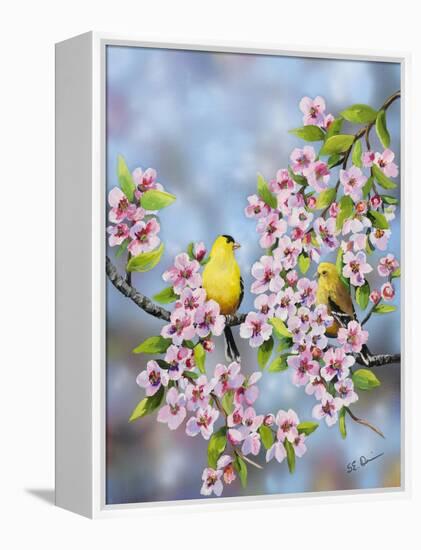 Finches in Cherry Tree-Sarah Davis-Framed Premier Image Canvas