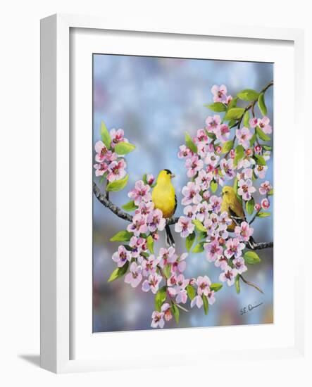 Finches in Cherry Tree-Sarah Davis-Framed Giclee Print