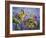 Finches with Sunflowers-Sarah Davis-Framed Giclee Print