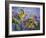 Finches with Sunflowers-Sarah Davis-Framed Giclee Print