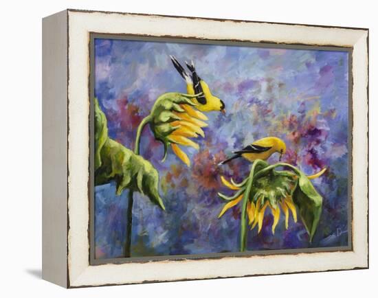 Finches with Sunflowers-Sarah Davis-Framed Premier Image Canvas