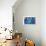 Find Night Lights - Turtle-Elisa Chavarri-Giclee Print displayed on a wall