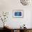 Find Night Lights - Turtle-Elisa Chavarri-Framed Giclee Print displayed on a wall