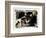 Find Your Man, Eric St. Clair, Rin Tin Tin, 1924-null-Framed Premium Giclee Print