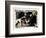 Find Your Man, Eric St. Clair, Rin Tin Tin, 1924-null-Framed Premium Giclee Print