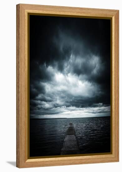 Find your way Back-Philippe Sainte-Laudy-Framed Premier Image Canvas