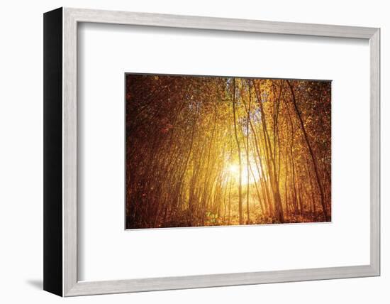 Finding Fall-Bob Larson-Framed Art Print