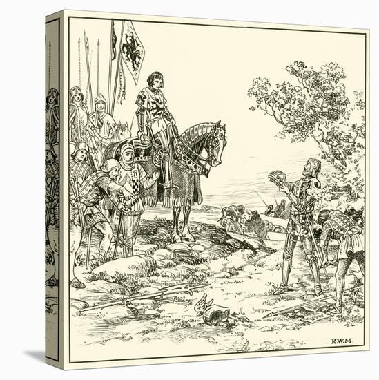 Stretched Canvas Print, , large