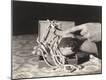 Premium Photographic Print