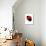 Fine Art - Art Print Series - Black and Red 90'-Philippe Hugonnard-Art Print displayed on a wall