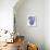 Fine Art Vase I-Janelle Penner-Art Print displayed on a wall