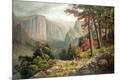 Photographic Print
