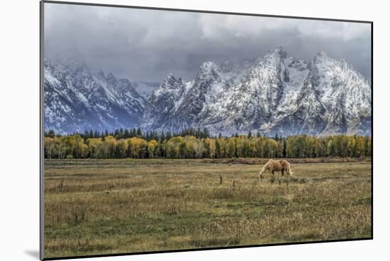 Fine Dining In The Tetons-Galloimages Online-Mounted Photographic Print