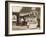 Fine Display of Meat Displayed Outside a Butcher's Shop-null-Framed Photographic Print