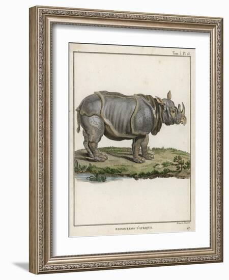 Fine Early Engraving of an African Rhinoceros-Benard-Framed Art Print