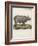 Fine Early Engraving of an African Rhinoceros-Benard-Framed Art Print