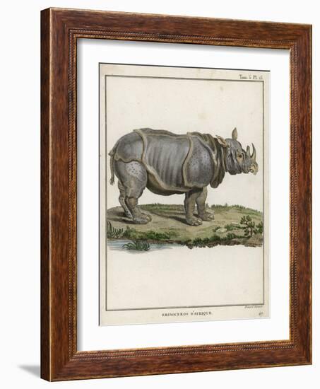 Fine Early Engraving of an African Rhinoceros-Benard-Framed Art Print