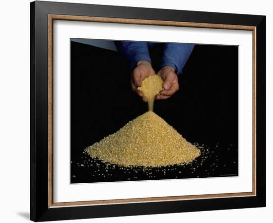Fine Gold Granulate (999.9 Purity)-Ursula Gahwiler-Framed Photographic Print