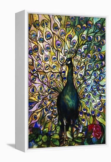 Fine Peacock Leaded Glass Domestic Window-Tiffany Studios-Framed Premier Image Canvas