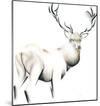 Fine Stag-Kellas Campbell-Mounted Giclee Print