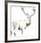 Fine Stag-Kellas Campbell-Framed Giclee Print