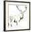 Fine Stag-Kellas Campbell-Framed Giclee Print