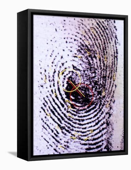 Fingerprint Analysis-Mauro Fermariello-Framed Premier Image Canvas