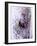 Fingerprint Analysis-Mauro Fermariello-Framed Photographic Print