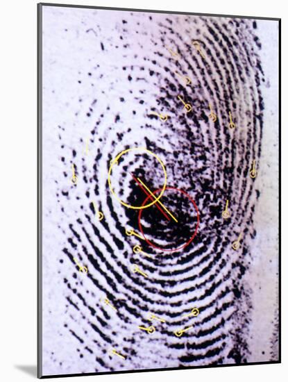 Fingerprint Analysis-Mauro Fermariello-Mounted Photographic Print
