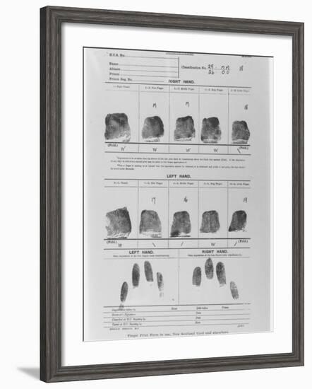 Fingerprint Sheet-null-Framed Photographic Print