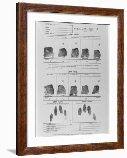 Fingerprint Sheet-null-Framed Photographic Print