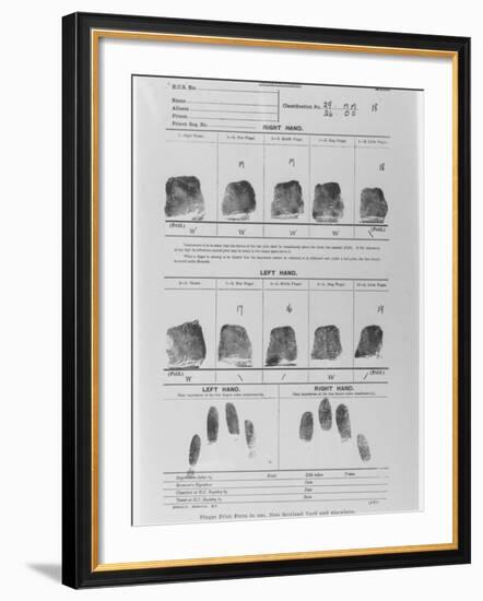 Fingerprint Sheet-null-Framed Photographic Print