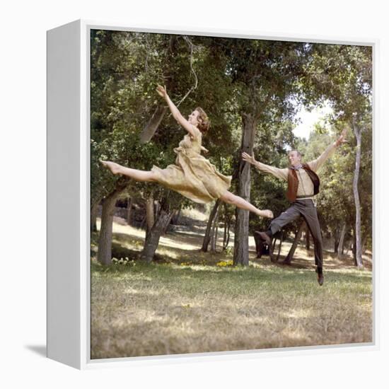FINIAN'S RAINBOW, 1968 directed by FRANCIS FORD COPPOLA Barbara Hancock and Fred Astaire (photo)-null-Framed Stretched Canvas