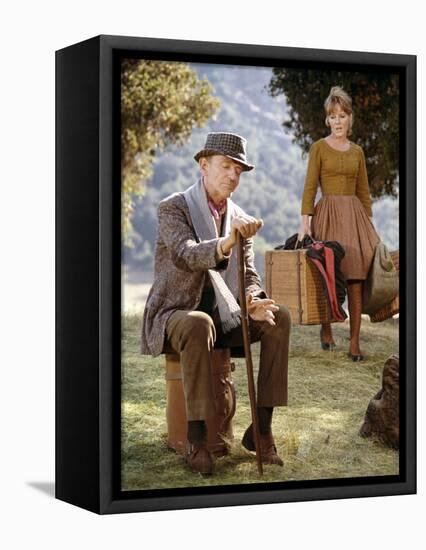 FINIAN'S RAINBOW, 1968 directed by FRANCIS FORD COPPOLA Fred Astaire and Petula Clark (photo)-null-Framed Stretched Canvas